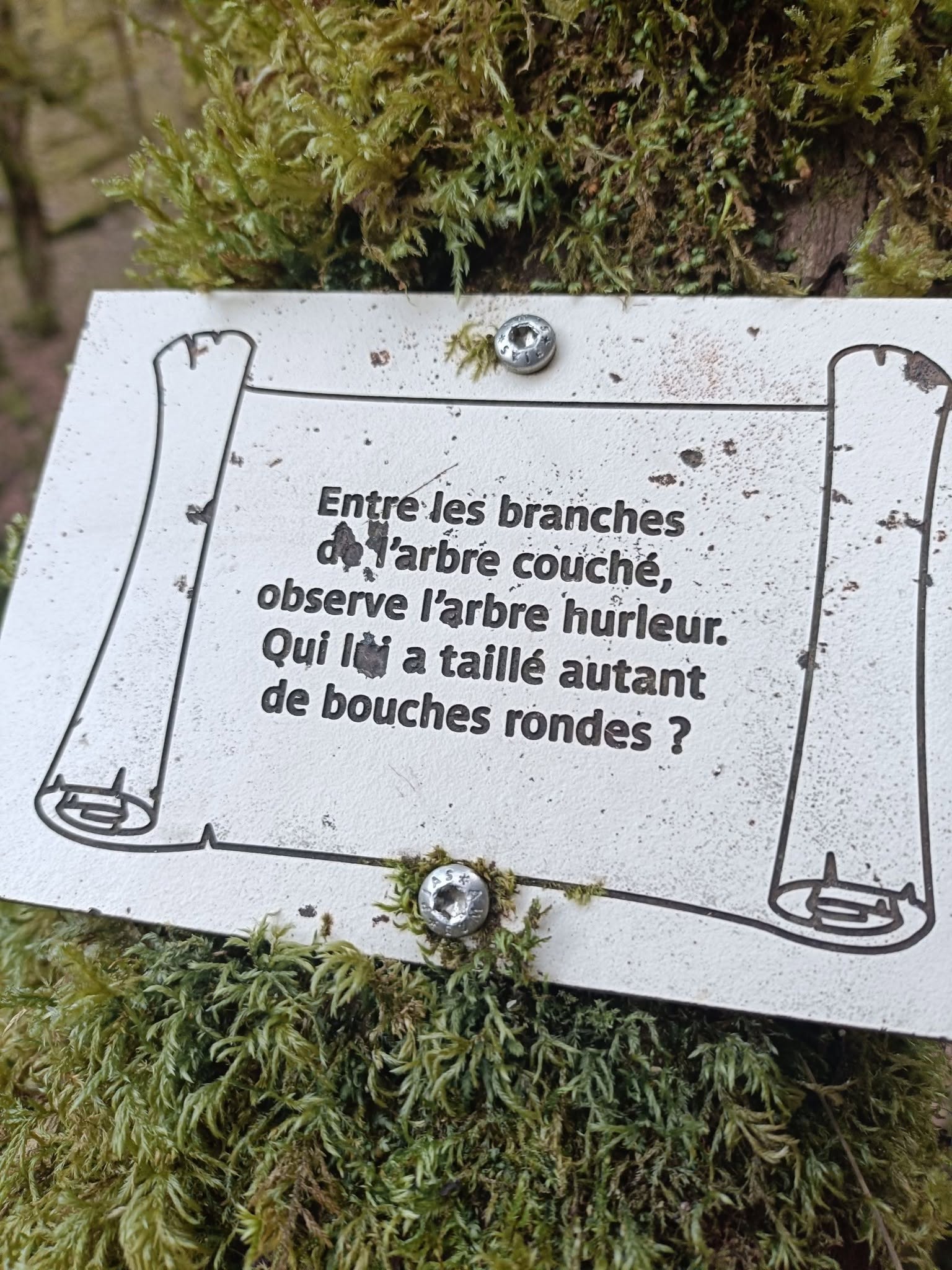 Illustration accompagnant « L'arbre hurleur » dans sa publication Facebook.