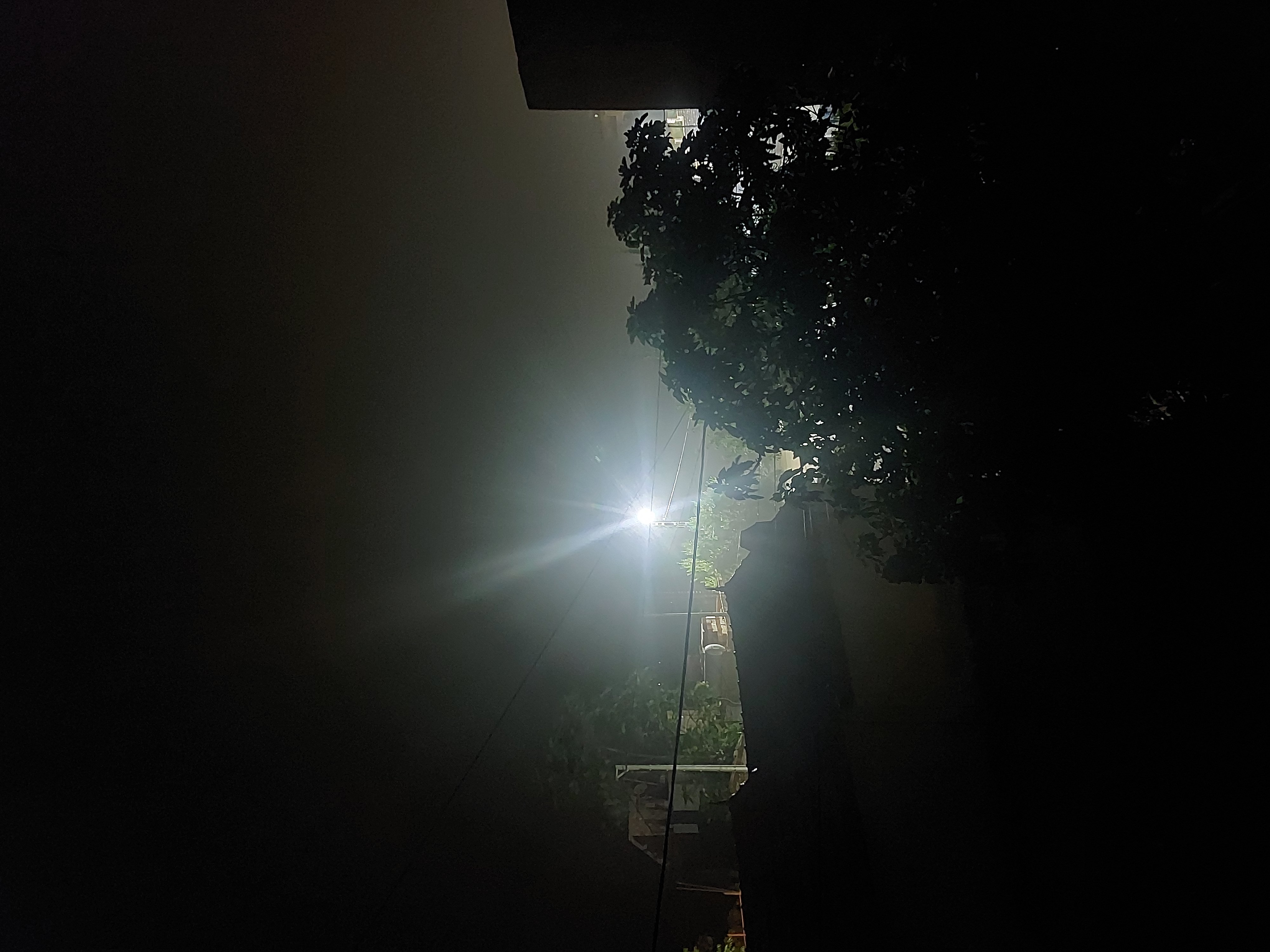 Un lampadaire éclaire les arbres et les toits dans la nuit.